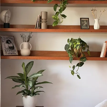 Eco - Giulia * دورميلّيتّو